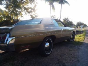 72 Impala facts